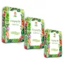 Toraf Seed Set - Komplekts 2X3 2024 Toraf 36X1PCS