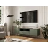 Cama EF TRESSE RTV skapis 180x40x54.5 matēts zaļš