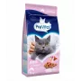 Sausā barība kaķiem PREVITAL Senior Salmon 1.4 kg — senioru formula, 31% olbaltumvielu, 9% tauku