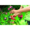 Zāles pļāvējs WOLF-Garten RR 1500 BASIC PLUS