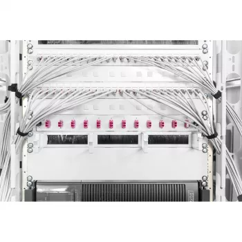 Aizpildījuma panelis Digitus DN-19 BPN-02
