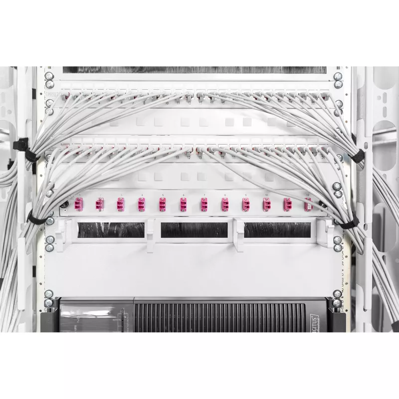 Aizpildījuma panelis Digitus DN-19 BPN-02