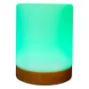 Ambientā gaisma RealPower 200 RGB ar tālvadības pulti