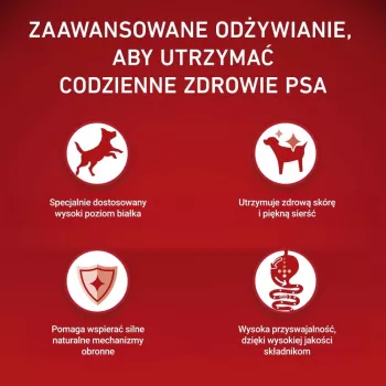PURINA ONE MINI Suņu barība pieaugušiem suņiem ar liellopu gaļu un rīsiem 1,5 kg