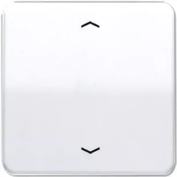 Jung CD 590 P WW (CD590PWW) – Pārslēgs, balts