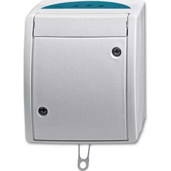 BUSCH JAEGER 2CKA001383A0141 - Ķēdes slēdzis - Sudraba - IP44 - RoHS CE - 250 V - 74 mm