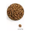 ACANA Adult Large Breed sausā suņu barība - 11,4 kg