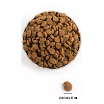 ACANA Adult Large Breed sausā suņu barība - 11,4 kg