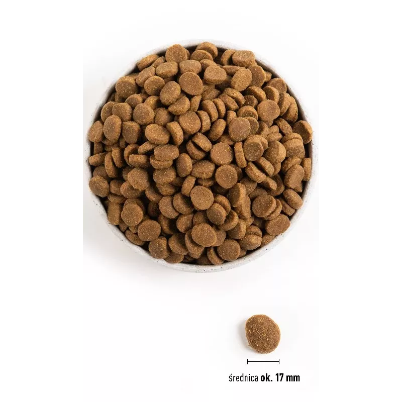 ACANA Adult Large Breed sausā suņu barība - 11,4 kg
