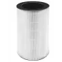 Homedics AP-T30FLR HEPA-Filtrs