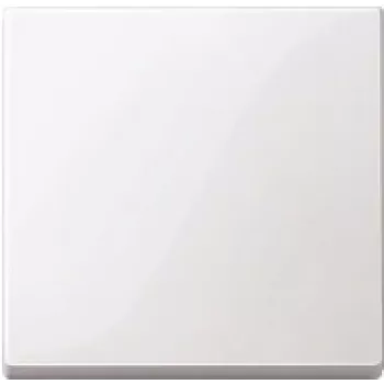 Merten 432125 sienas plāksne / slēdža pārsegs, balta, termoplasts