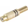 RCA savienotājs ShiverPeaks BS52021-S Gold sievišķais
