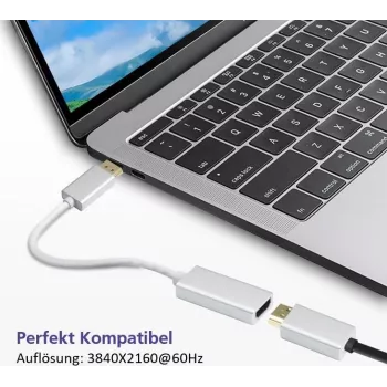 Helos DisplayPort–HDMI adaptera kabelis 4K Sudrabs – DisplayPort (vīrišķais) uz HDMI (sieviešu)