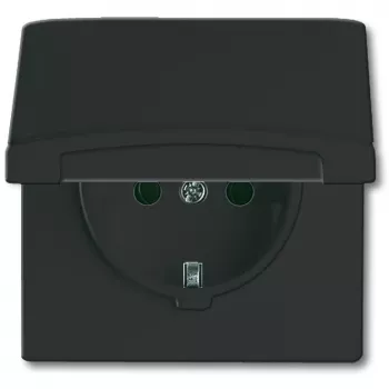Busch-jaeger 2CKA002064A0290 Melns