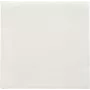 PAPSTAR salvetes Daily Collection Baltas 2-slāņu 16.0 x 16.0 cm 150 gab (89636)