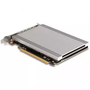 DeLOCK 90210 interfeisa karte