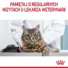 ROYAL CANIN Hair&Skin Care Adult - sausā barība kaķiem - 400g