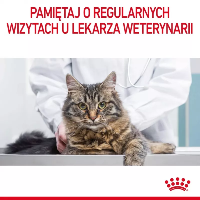 ROYAL CANIN Hair&Skin Care Adult - sausā barība kaķiem - 400g