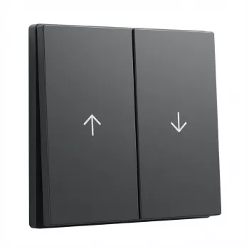 GIRA System 55 Wippe 2f Pfeil antracīta pārsegs (model 329428)