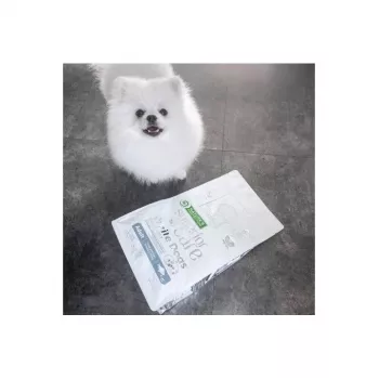 NATURE'S PROTECTION White Dogs GF White Fish Adult Small sausā barība suņiem 4 kg