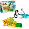 Lego 10442 Savvaļas dzīvnieku ģimenes: Pingvīni un Lauvas