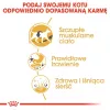 Royal Canin Siamese Adult sausā barība kaķiem, 2 kg