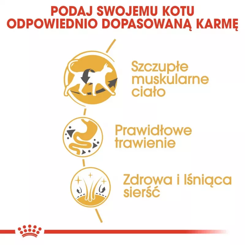 Royal Canin Siamese Adult sausā barība kaķiem, 2 kg