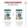 Slapjā barība kaķiem Royal Canin FHN Ageing 11+ Gravy 12×85 g – pilnvērtīgas maltītes senioriem