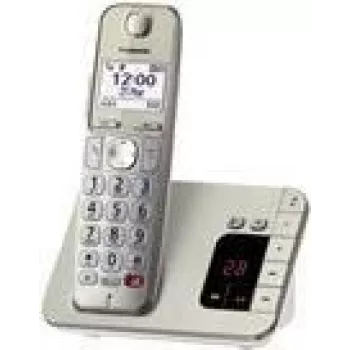 DECT telefons Panasonic KX-TGE260GN