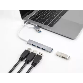 Delock 64214 4 portu USB centrmezgls Sudraba