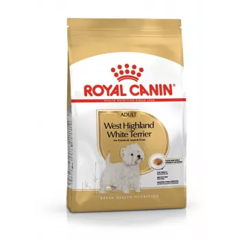 Royal Canin BHN West Highland White Terrier Adult - sausā barība pieaugušiem suņiem - 3kg