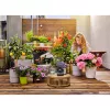 Gardena AquaBloom šļūtene 20m melna 13301-20