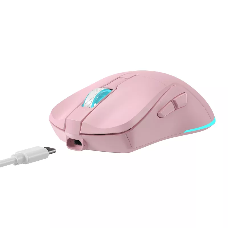 Bezvadu pele Baracuda BGM-124 Turtle Pink TURTLE-P