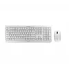 CHERRY DW 3000 bezvadu tastatūra un pele RF QWERTZ pelēka