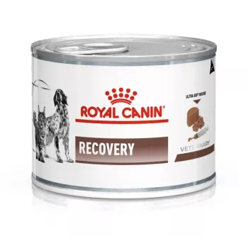 Slapjā barība atveseļošanās suņiem Royal Canin Recovery Adult 195 g — mājputni