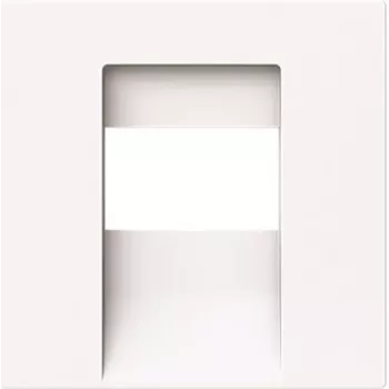 BUSCH-JAEGER 1766-44G centrālais pārsega panelis TAE UAE USB HDMI (2CKA001710A4162)