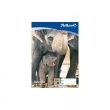 Pelikan Zīmēšanas bloks C 2-10, A2, 100 g/m², 10 loksnes, hloru nesaturoši balināts, perforēts (137604)