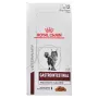 Royal Canin Gastrointestinal Moderate Calorie mitrā barība kaķiem, 12 x 85 g