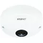 IP drošības kamera Hanwha QNF-8010 kupolveida 2048 x 2048 pikseļi