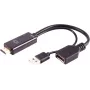 ShiverPeaks BS10-01012 HDMI A sievišķais uz DisplayPort vīrišķo adapteris 4K 60Hz 20cm