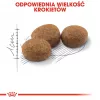Sausā barība kaķiem Royal Canin Sterilised 2 kg — pieaugušiem sterilizētiem kaķiem, vistas gaļa, 37% olbaltumvielu