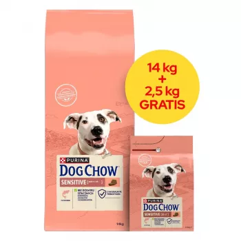 PURINA Dog Chow Sensitive Salmon - sausa suņu barība - 14 + 2,5kg