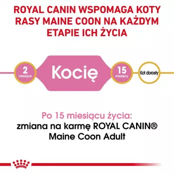Sausā barība kaķēniem Royal Canin Maine Coon Kitten 2 kg – mājputnu gaļa, olbaltumvielas 36%, tauki 23%