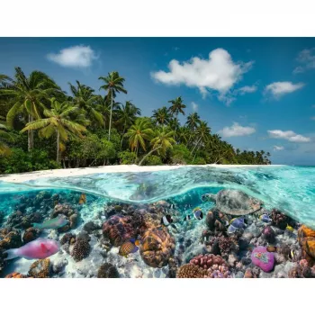 Puzzle Ein Dive in the Maldives (2000 gab.)