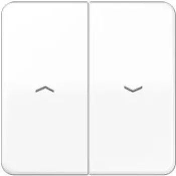 Jung CD 595 PBF WW (CD595PBFWW) – Pārslēgs