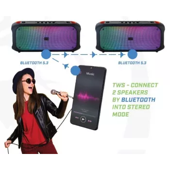 Bluetooth Skaļrunis SoundVox 650, 10W
