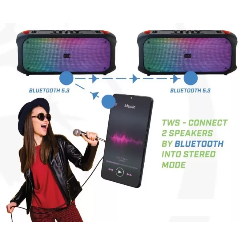 Bluetooth Skaļrunis SoundVox 650, 10W