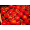 Bajaja Cherry Tomato Toraf Dārzeņu Sēklas, 0.3g Paka