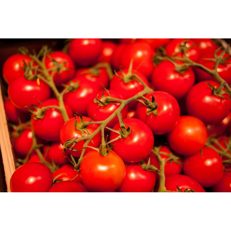 Bajaja Cherry Tomato Toraf Dārzeņu Sēklas, 0.3g Paka