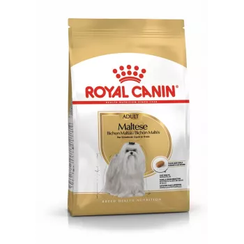 Sausā suņu barība Royal Canin Maltese Adult 1.5 kg — vistas gaļa, 24% olbaltumvielas, 18% tauki